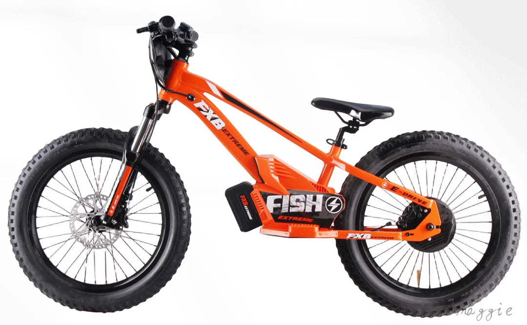 HKM-740371 20-Inch Folding Electric Bike with 800W Rear Hub Motor and 36V 10AH Lithium Battery