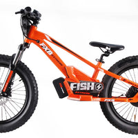 HKM-740371 20-Inch Folding Electric Bike with 800W Rear Hub Motor and 36V 10AH Lithium Battery