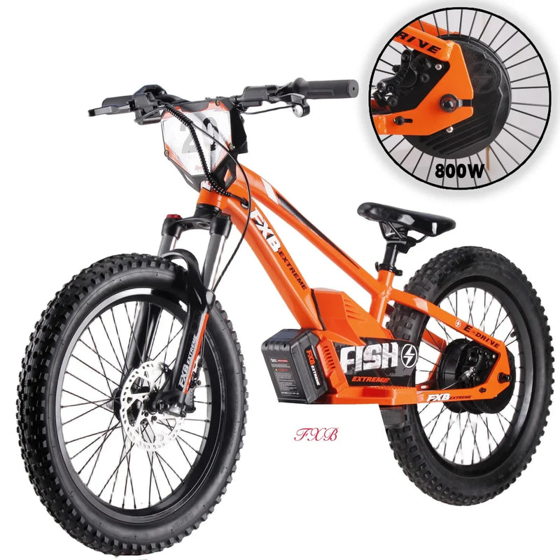 HKM-740371 20-Inch Folding Electric Bike with 800W Rear Hub Motor and 36V 10AH Lithium Battery