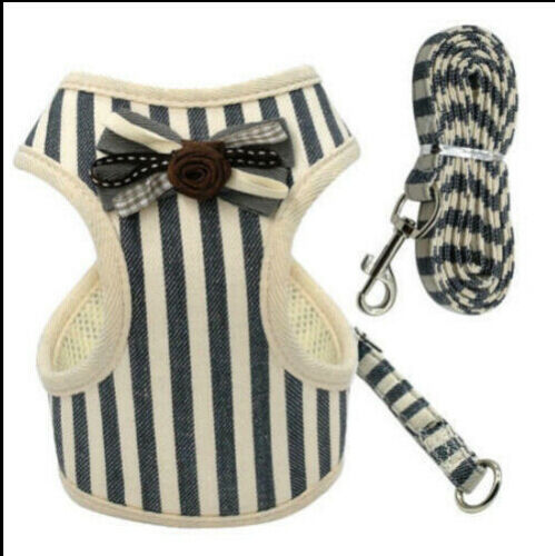 HKM-7406397 Breathable Tank Top Style Dog Chest Strap with Traction Rope for Pets