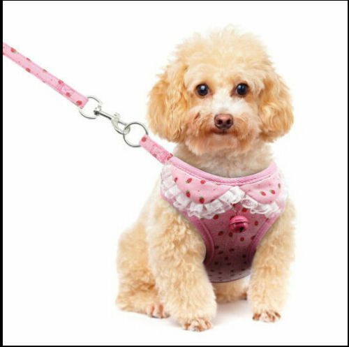 HKM-7406397 Breathable Tank Top Style Dog Chest Strap with Traction Rope for Pets