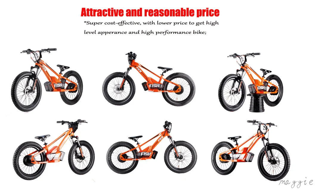 HKM-741523 20 Inch Electric Balance Bike for Kids 5-12 Years, 800W Motor, 3 Speed, Aluminum Alloy Frame, Rear Hub Motor, Lithium Battery