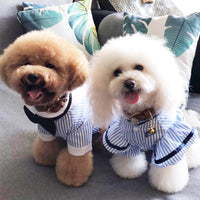 HKM-7426237 Couples Spring/Summer Breathable Pet Outfit - Sky Blue Shirt & Skirt Set
