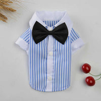 HKM-7426237 Couples Spring/Summer Breathable Pet Outfit - Sky Blue Shirt & Skirt Set