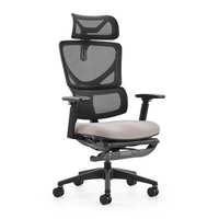 HKM-742867 Customisable Ergonomic Mesh Swivel Office Chair with Adjustable Footrest and Memory Foam Seat