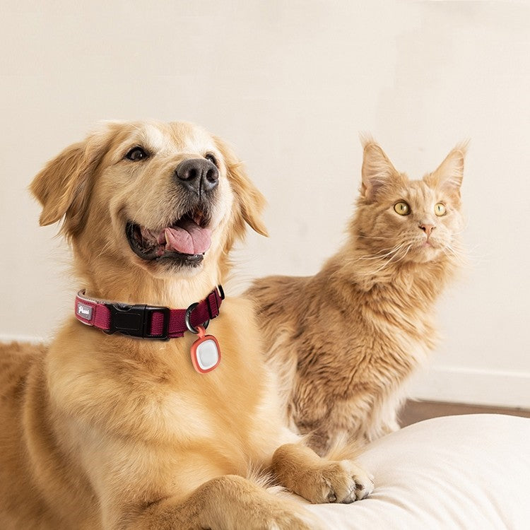HKM-7433277 Anti-Loss Silicone ID Card for Pets with Two-Dimensional Code - Multiple Color Options