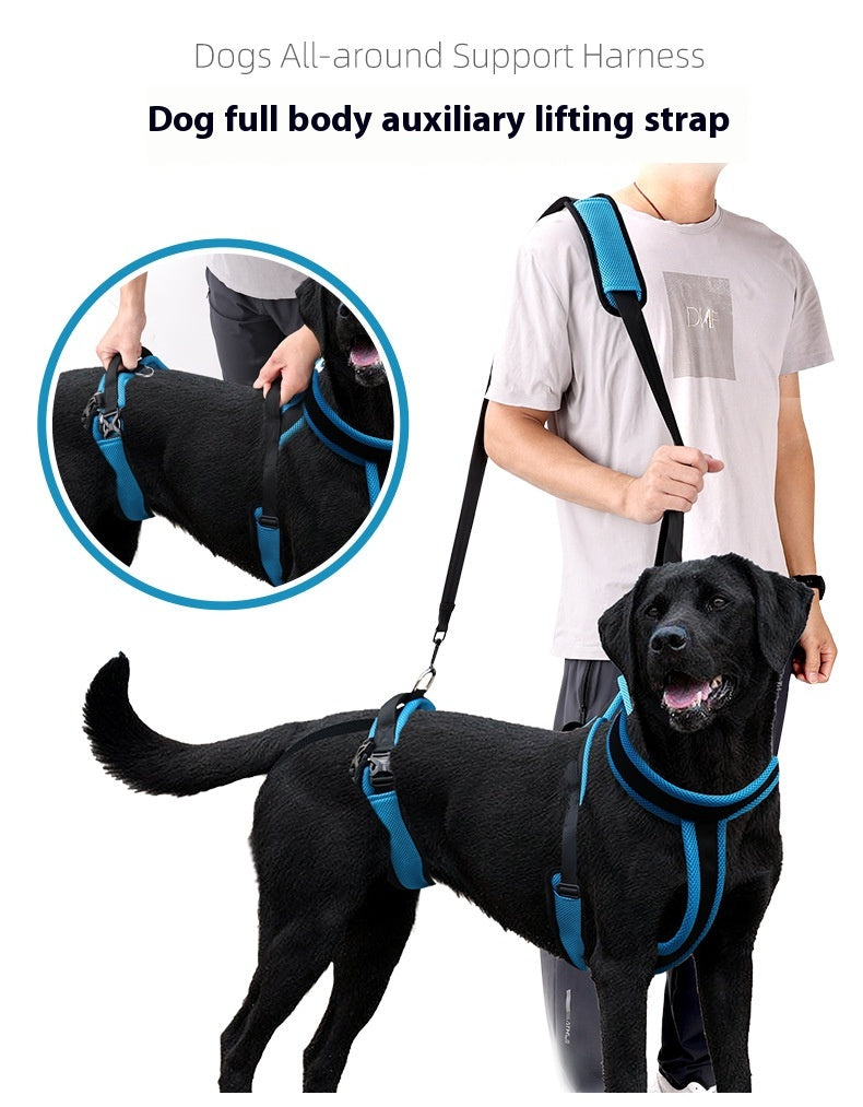 HKM-7433405 Durable Polyester Blue Pet Hand Holding Rope for Dogs