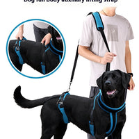 HKM-7433405 Durable Polyester Blue Pet Hand Holding Rope for Dogs