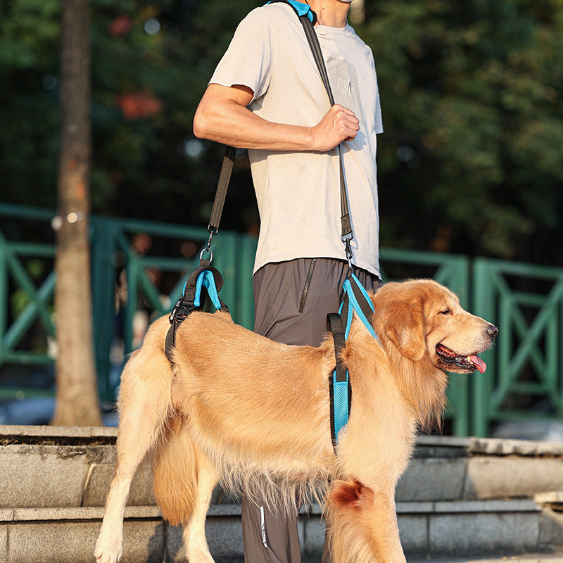 HKM-7433405 Durable Polyester Blue Pet Hand Holding Rope for Dogs