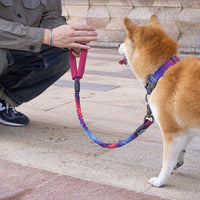 HKM-744211 High Elastic Nylon Pet Traction Rope - Adjustable Length (75-150 cm) in Various Colors