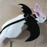 HKM-7443133 Cute Bat Wings Dog Costume with Adjustable Chest Strap and Leash Attachments - S & M Sizes Available
