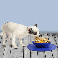 HKM-7445309 Non-Skid Silicone Suction Pet Feeding Bowl with Mat for Dogs