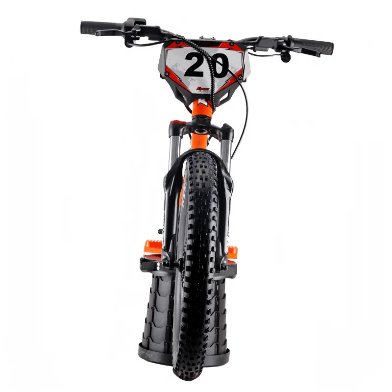 HKM-744979 Electric Bicycle with 20-Inch Wheels, 36V Lithium Battery, Rear Hub Motor, and Disc Brakes, 2-Speed Gear System