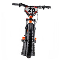 HKM-744979 Electric Bicycle with 20-Inch Wheels, 36V Lithium Battery, Rear Hub Motor, and Disc Brakes, 2-Speed Gear System