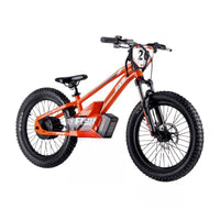 HKM-744979 Electric Bicycle with 20-Inch Wheels, 36V Lithium Battery, Rear Hub Motor, and Disc Brakes, 2-Speed Gear System