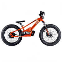 HKM-744979 Electric Bicycle with 20-Inch Wheels, 36V Lithium Battery, Rear Hub Motor, and Disc Brakes, 2-Speed Gear System