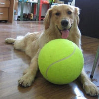 HKM-745171 Dog Durable And Fun Rubber Molar Tennis