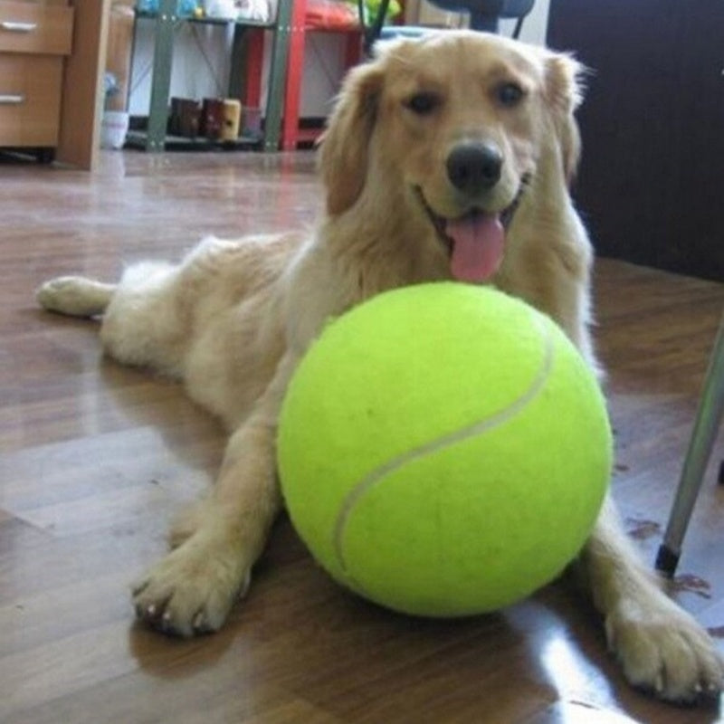 HKM-745171 Dog Durable And Fun Rubber Molar Tennis