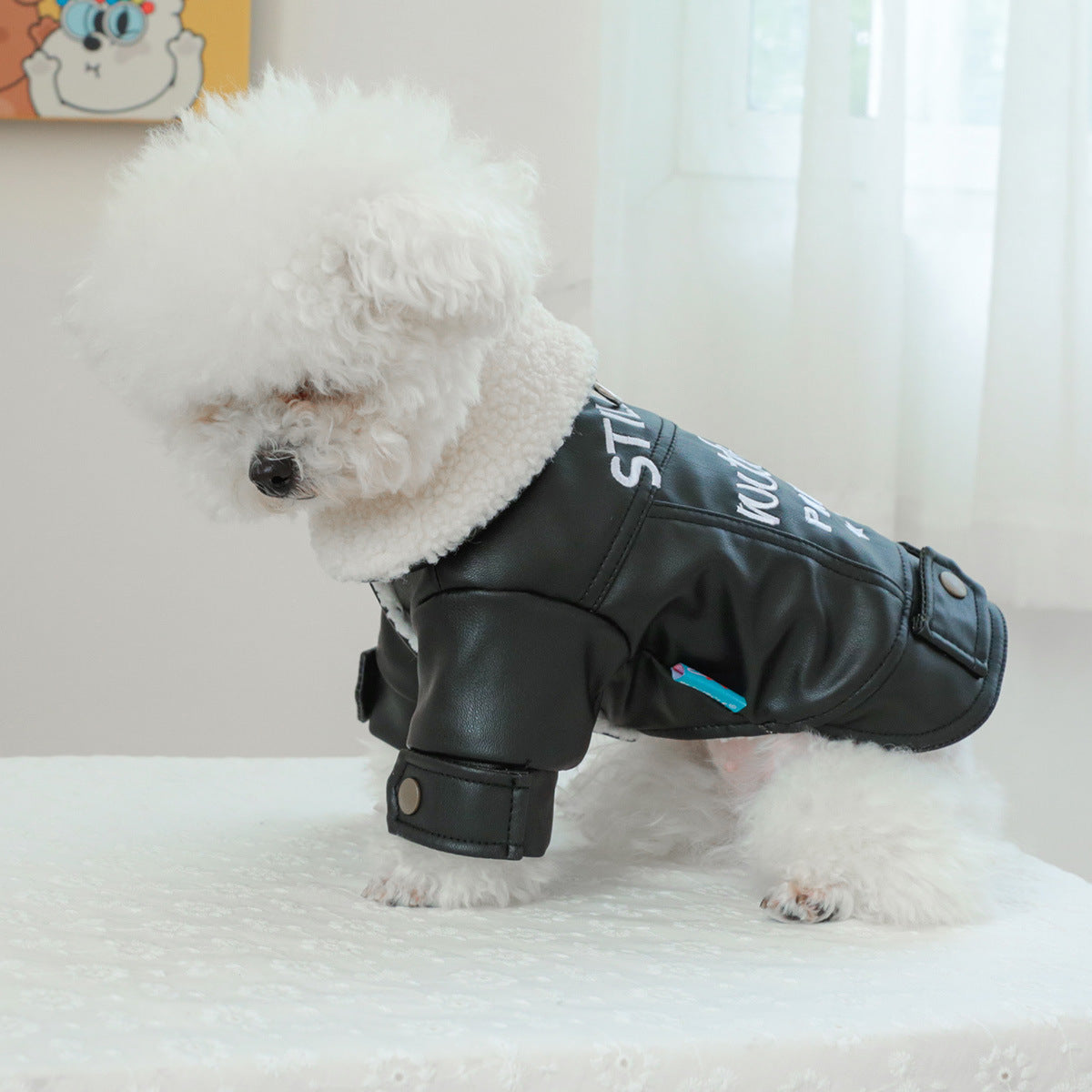 HKM-745363 Fleece-Lined Padded Pet Coat in Black, Beige, and Suede Leather Options