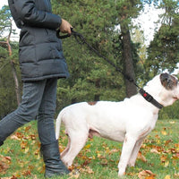 HKM-7458109 Dogs Leash with Padded Handle and Reflective Stitching for Comfortable Jogging and Training