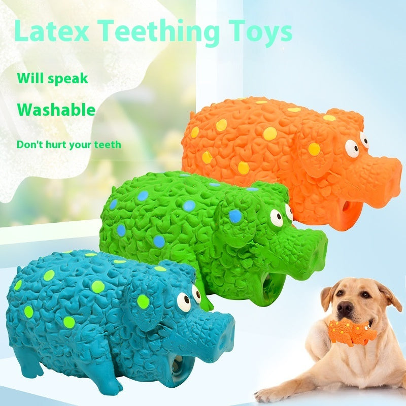 HKM-7461437 Durable Latex Pig Dog Toy with Sound, Bite-Resistant Molar Design, Available in Green, Orange, and Blue