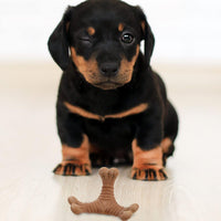 HKM-7462077 Durable Teething Stick for Puppies and Dogs - Interactive Chew Toy for Dental Care and Play