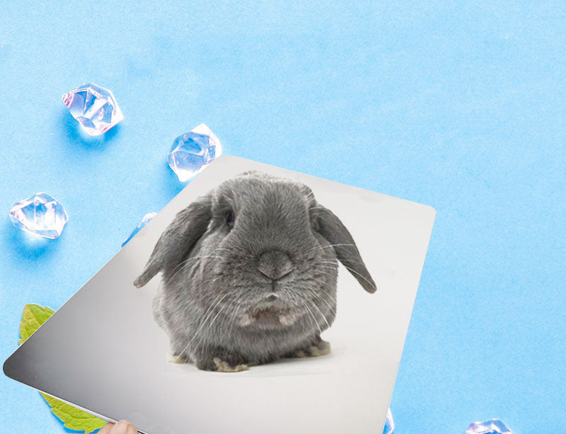 HKM-7462461 Cooling Aluminum Plate for Rabbits and Guinea Pigs - Available in Various Sizes and Ice Box Option