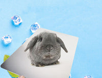 HKM-7462461 Cooling Aluminum Plate for Rabbits and Guinea Pigs - Available in Various Sizes and Ice Box Option