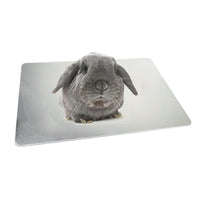 HKM-7462461 Cooling Aluminum Plate for Rabbits and Guinea Pigs - Available in Various Sizes and Ice Box Option
