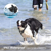 HKM-7466045 Rechargeable Dog Training Collar with Remote - IP67 Waterproof, 2625ft Range, 4 Modes, Adjustable Levels
