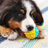 HKM-7474749 Sound Toothbrush Training Teether Ball for Pets - Lake Blue & Orange, Durable Plastic Toy
