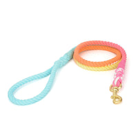 HKM-7475901 Double-Headed Dog Traction Rope - Gradient Rainbow Design, 210cm Length