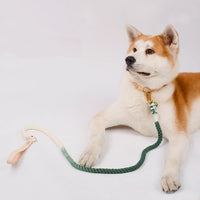 HKM-7475901 Double-Headed Dog Traction Rope - Gradient Rainbow Design, 210cm Length