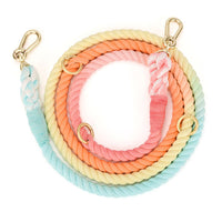 HKM-7475901 Double-Headed Dog Traction Rope - Gradient Rainbow Design, 210cm Length