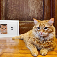 HKM-7479357 Children and Pets Commemorative Photo Album with DIY Fingerprint Rubbing Postcards