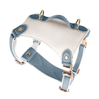 HKM-7481149 Leather Pet Vest with Lead Rope - Available in Various Colors and Sizes