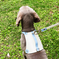 HKM-7481149 Leather Pet Vest with Lead Rope - Available in Various Colors and Sizes