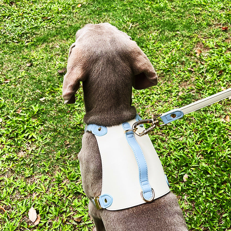 HKM-7481149 Leather Pet Vest with Lead Rope - Available in Various Colors and Sizes