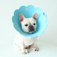 HKM-7481533 Sunflower Anti-Licking Pet Protection Collar in Various Sizes and Colors