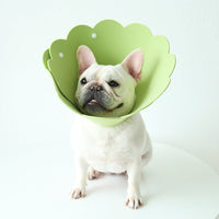 HKM-7481533 Sunflower Anti-Licking Pet Protection Collar in Various Sizes and Colors