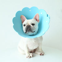 HKM-7481533 Sunflower Anti-Licking Pet Protection Collar in Various Sizes and Colors