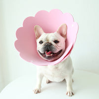 HKM-7481533 Sunflower Anti-Licking Pet Protection Collar in Various Sizes and Colors
