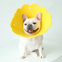 HKM-7481533 Sunflower Anti-Licking Pet Protection Collar in Various Sizes and Colors