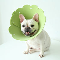 HKM-7481533 Sunflower Anti-Licking Pet Protection Collar in Various Sizes and Colors