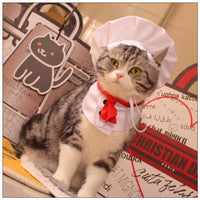 HKM-7482429 Chef Cap Pet Cloak for Dogs and Cats - Monochrome Satin Outfit