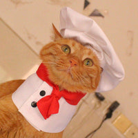 HKM-7482429 Chef Cap Pet Cloak for Dogs and Cats - Monochrome Satin Outfit