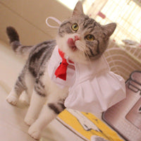HKM-7482429 Chef Cap Pet Cloak for Dogs and Cats - Monochrome Satin Outfit