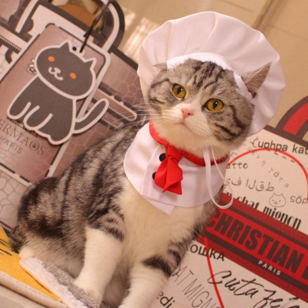 HKM-7482429 Chef Cap Pet Cloak for Dogs and Cats - Monochrome Satin Outfit
