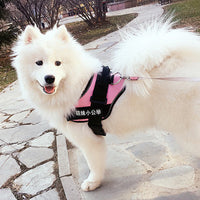 HKM-7483709 Adjustable Nylon Pet Chest Harness with Leash - Various Colors and Sizes Available