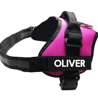 HKM-7483709 Adjustable Nylon Pet Chest Harness with Leash - Various Colors and Sizes Available